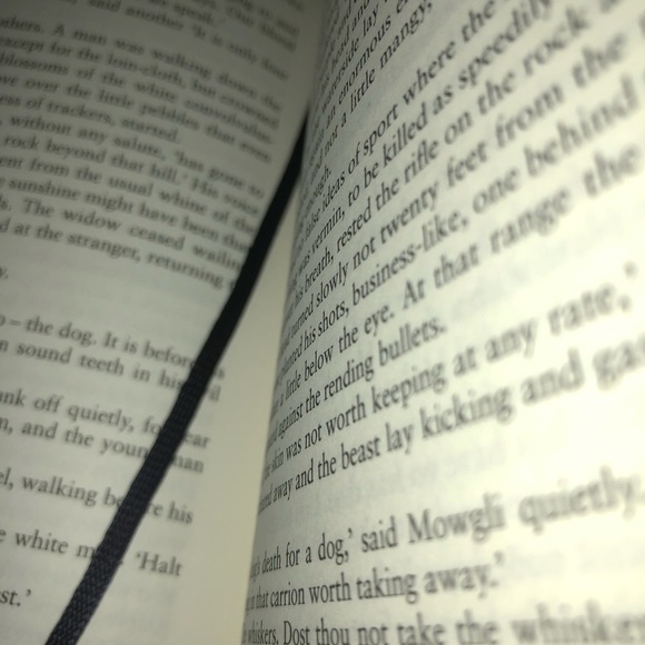 The Jungle Books by Rudyard Kipling - Green Hardcover - Picture 6 of 8